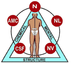 Triad of Health for Applied Kinesiology at Cashiers Chiropractic